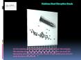 Stainless Steel Disruption Beads PowerPoint PPT Presentation
