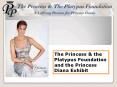 The Princess & the Platypus Foundation and the Princess Diana Exhibit PowerPoint PPT Presentation