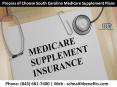 Process of Choose South Carolina Medicare Supplement Plans PowerPoint PPT Presentation