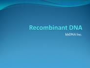 recombinant dna