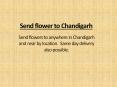 Send flowers to chandigarh PowerPoint PPT Presentation