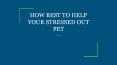 HOW BEST TO HELP YOUR STRESSED OUT PET PowerPoint PPT Presentation