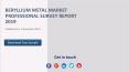 Beryllium Metal Market Professional Survey Report 2019 PowerPoint PPT Presentation