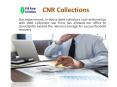 CNR Group Collections - Debt Collection Company PowerPoint PPT Presentation