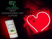 How To Control Cholesterol Levels? PowerPoint PPT Presentation