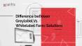 Forex whitelabel vs greylabel what's the difference PowerPoint PPT Presentation