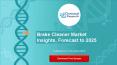 Brake cleaner market insights, forecast to 2025 PowerPoint PPT Presentation