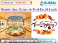 Beauty, Spa, Saloon & Pool Email List PowerPoint PPT Presentation