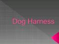 Dog Harness PowerPoint PPT Presentation