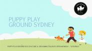 Puppy Play Ground