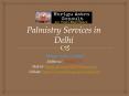 Palmistry Services in Delhi PowerPoint PPT Presentation