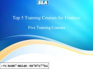 Top Training Courses for Freshers