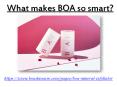 What makes BOA so smart? PowerPoint PPT Presentation