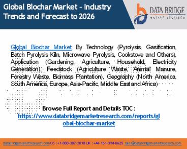 Biochar Market (1)