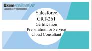 CRT-261 VCE ExamCollection