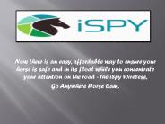 Horse Float & Horse Trailers  Camera (1)