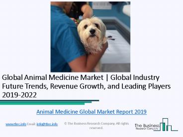 Global Animal Medicine Market Report 2019