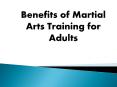Benefits of martial arts training for adults PowerPoint PPT Presentation