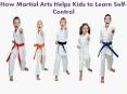 How martial arts helps kids to learn self control PowerPoint PPT Presentation
