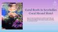 Coral Reefs in Seychelles - Coral Strand Hotel PowerPoint PPT Presentation
