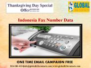 Indonesia Fax Number Data
