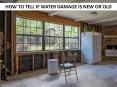 How to Tell If Water Damage is new or old PowerPoint PPT Presentation