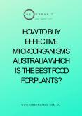 Buy Effective Microorganisms Australia Which Is The Best Food For Plants