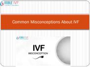 Common Misconceptions About IVF