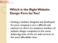 Which is the Right Website Design Firm for You PowerPoint PPT Presentation