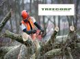 Hire best tree removalist from Treecorp solutions PowerPoint PPT Presentation