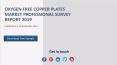 Oxygen free copper plates market professional survey report 2019 PowerPoint PPT Presentation