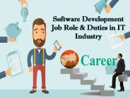 Which are the job role & duties for software developer?