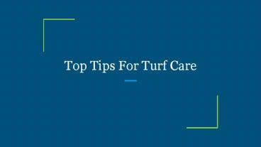 Top Tips For Turf Care