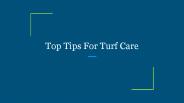 Top Tips For Turf Care