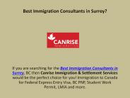 Searching for Best Immigration Consultants in Surrey?