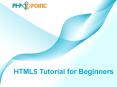 HTML5 Tutorial for Beginners PowerPoint PPT Presentation