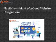 Flexibility – Mark of a Good Website Design Firm