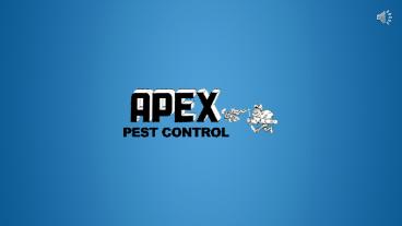 Professionals For Spider Control And Removal Service