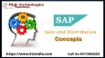 Advanced Sap Training Center in Delhi Noida Gurgaon