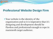 Professional Website Design Firm