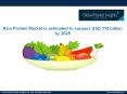 Rice Protein Market: Share, Size, Competitive Strategies and Forecast 2017 – 2024 PowerPoint PPT Presentation