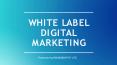White label Digital Marketing PowerPoint PPT Presentation