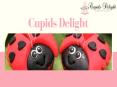 Cupcakes Shop Perth – Be a Part of CupidsDelight Cupcake World! PowerPoint PPT Presentation