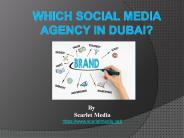 WHICH SOCIAL MEDIA AGENCY IN DUBAI?