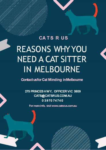 10 Reasons Why You Need a Cat Sitter in Melbourne