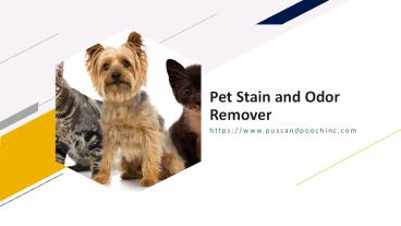 Pet Stain and Odor Remover