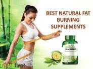 Use Best Fat Burners For Obesity Concerns