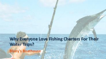 Affordable Fishing Charters in Melbourne