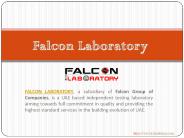 Geotechnical companies in UAE - Falcon Lab