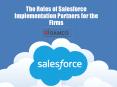 The Roles of Salesforce Implementation Partners for the Firms PowerPoint PPT Presentation